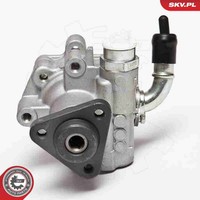 Esen Skv Hydraulikpumpe Lenkung 10SKV075 FüR Transporter Touareg Vw Multivan 7L7