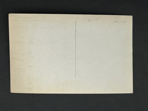 1913 RPPC Aviador Juan Bielovucic Primer Cruce de los Alpes Aterrizaje de Aviones - Imagen 2 de 2