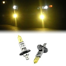 Ampoule Lancia ZETA