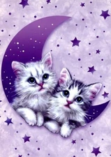 Wish Upon A Star - Tree Free Greetings - 10366