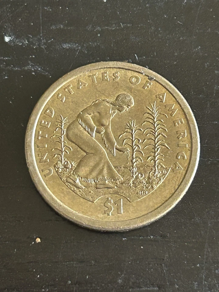 Dólar Sacagawea 2009-P Foto 2 de 3