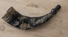 Shofar  Horn Ram Polished Painted 11" long