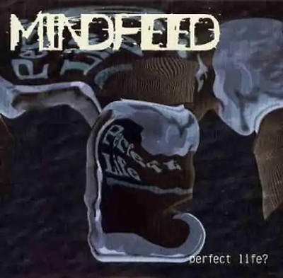 Mindfeed - Perfect Life
