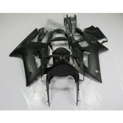 Custom Fairing 2003-2004 Kawasaki Ninja Canada, Discount