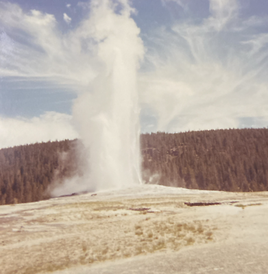 #ad 1966 Old Faithful Geyser Yellowstone National Park Wyoming Original Photo P18p16 $14.99