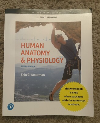 Active-Learning Workbook for Human Anatomy and Physiology by Erin C. Amerman...
