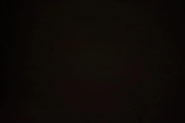 Placa de cubierta del radiador con incrustación negra 'Coyote' y Coyote para Ford Mustang GT 2016 Foto 4 de 4