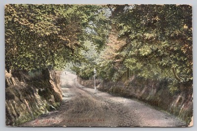 Chantry Lane Bexhill-on-Sea Sussex 1908 Raphael Tuck Serie 4784 Bayern