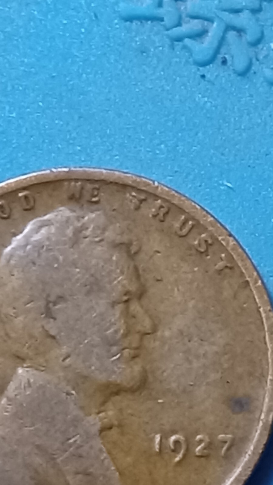 Picture 5 of 16