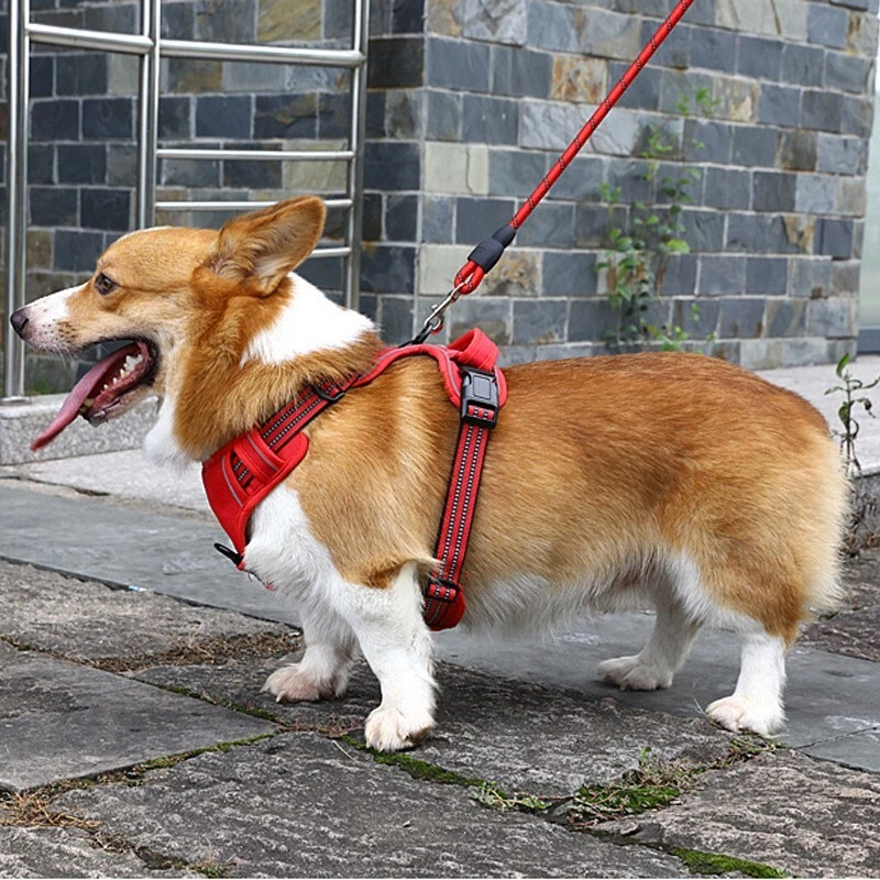 Dog Harness No Pull Adjustable Soft Padded Reflective No-Choke Pet Oxford Vest