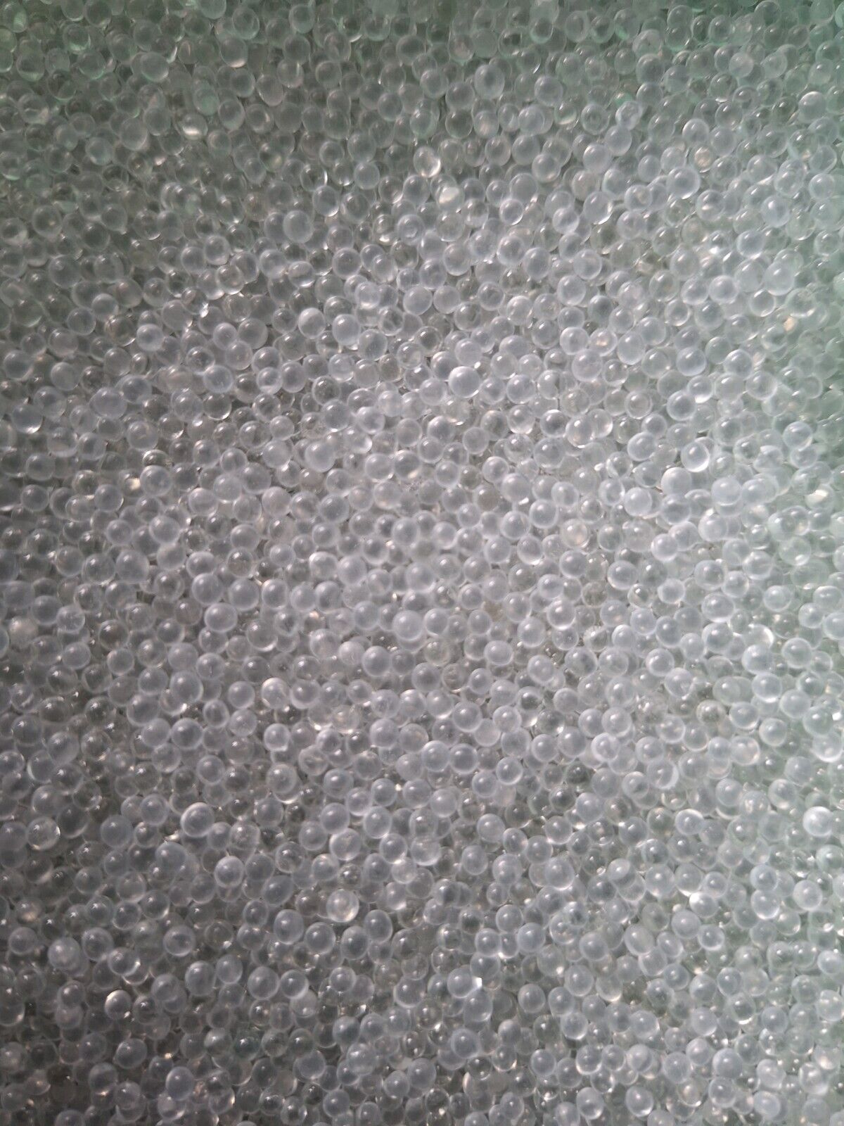 Bild 12 von 12