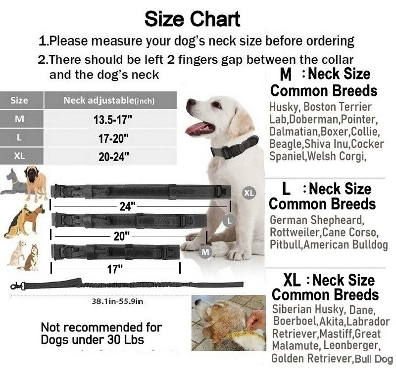 Tactical Dog Collar Large Training Military Heavy Duty Metal Buckle Black 2"Wide - Image 4 of 4