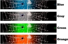 White Water Archery Black Widow Spider Web Black Fade 1 Arrow Wraps 15 Pc Pack