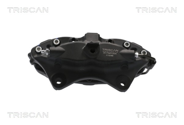 Bremssattel Triscan 8175 81204 FüR Tesla Model 100D AWD 60D 70D 75D 85D 90D P85-image