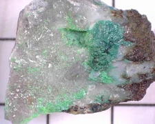 20373 MM Conichalcite Hilarion Mine Kamariza Agios Konstantinos Lavrion East Att