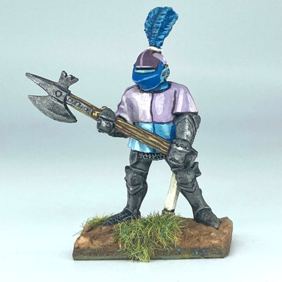 Royal Guard - passend für D&D - bemalte Metall Miniaturen ohne Marke X18391
