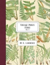 Vintage Prints: Ferns: Vol  5