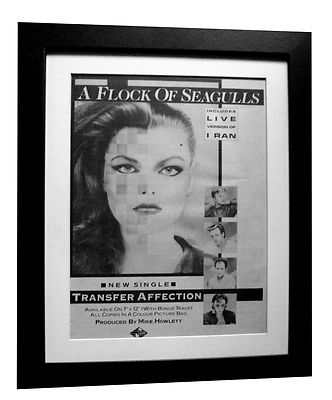 A FLOCK OF SEAGULLS+Affection+POSTER+AD+ORIGINAL 1983+FRAMED+EXPRESS GLOBAL SHIP