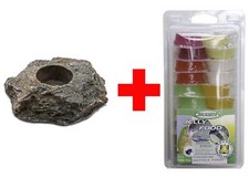 Dragon Jellyfood Mix 20er + Jellyfood Rock Lava - Beetle Jelly, Fruitjelly