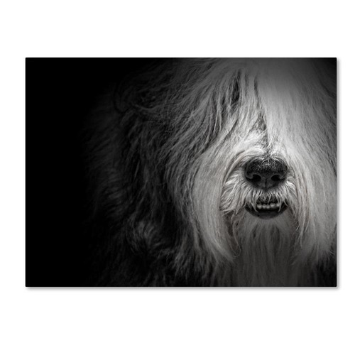 ALI12687-C1824GG Canvas Art, 18x24