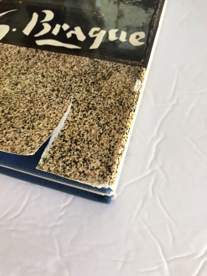 G Braque Book Francis Ponge & Pierre Descargu Hardcover Art 1971  French - Image 3 of 4