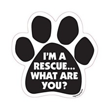 I'm A Rescue What Are You Dog Paw Car Magnet