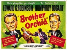 69507 Brother Orchid Edward Humphrey Bog Wall Decor Print Poster