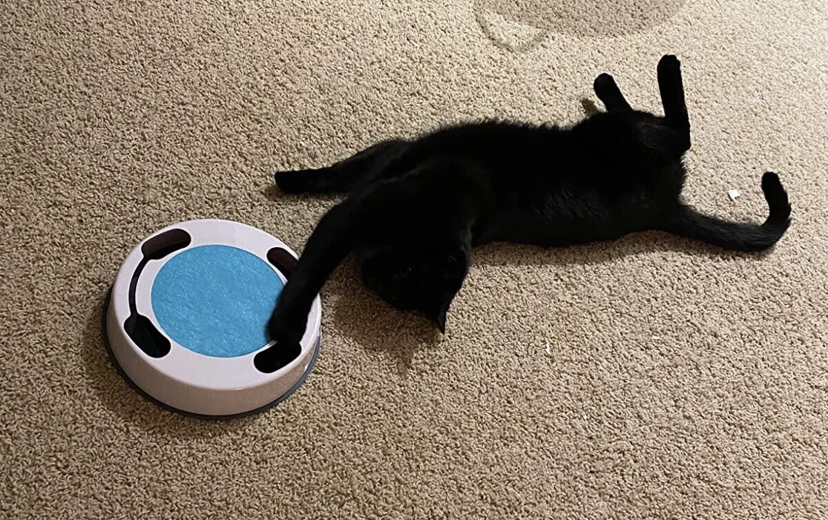 Automatic Cat Toys Electric Interactive Cat Toy Cat Toys with Running Mouse, NEW