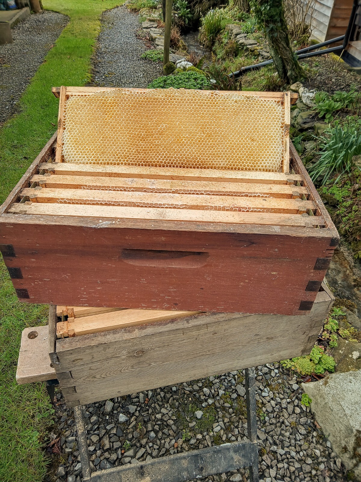 Commercial bee hive supers with frames used eBay
