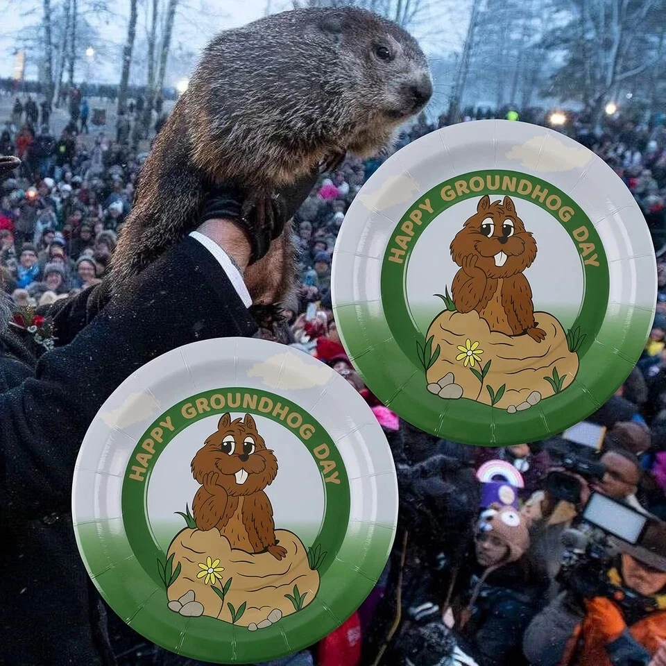 ¡Pack de fiesta de día de marmota para 24 invitados! Incluye: 24 paquete 24 Foto 3 de 4