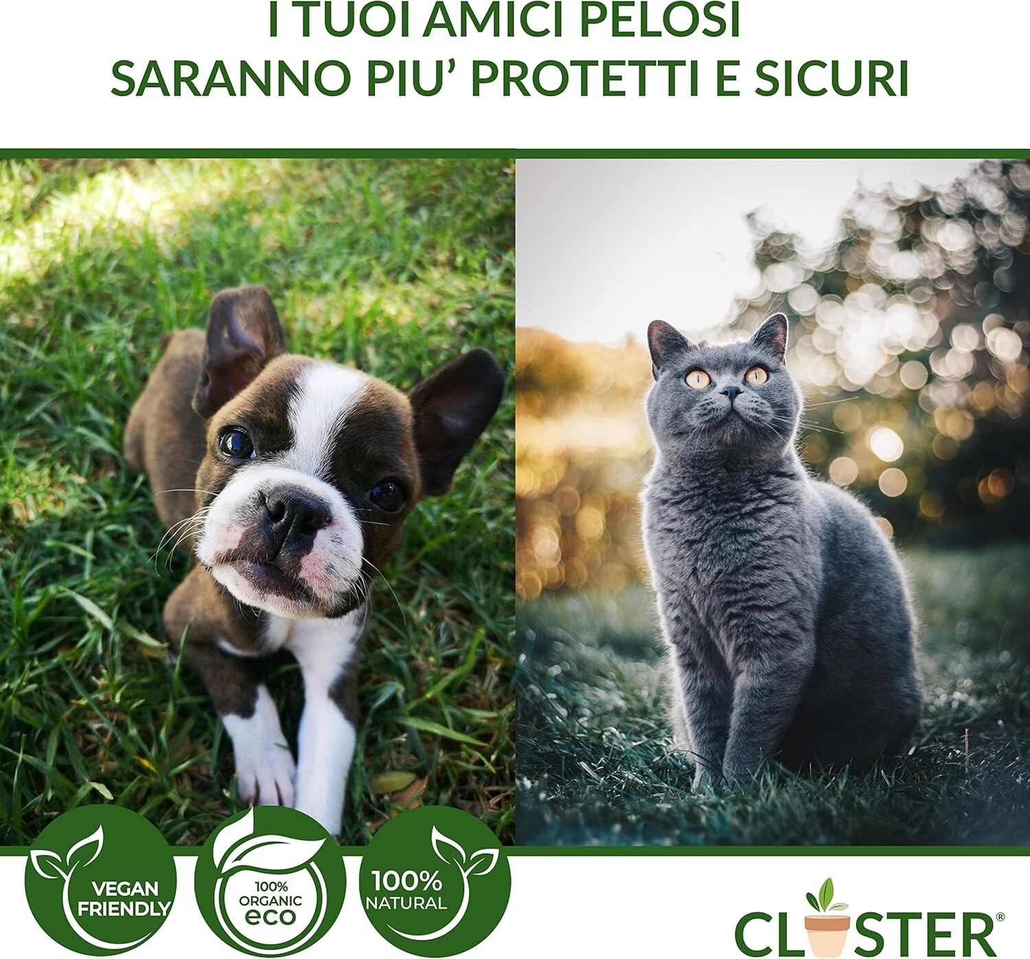 Foto 5 di 6