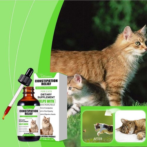 Probiotic drops cats intestinal digestive health constipation relief supple C8M0 - Picture 6 of 24