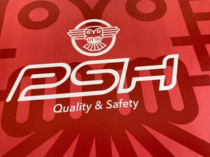 zapatos de trabajo psh