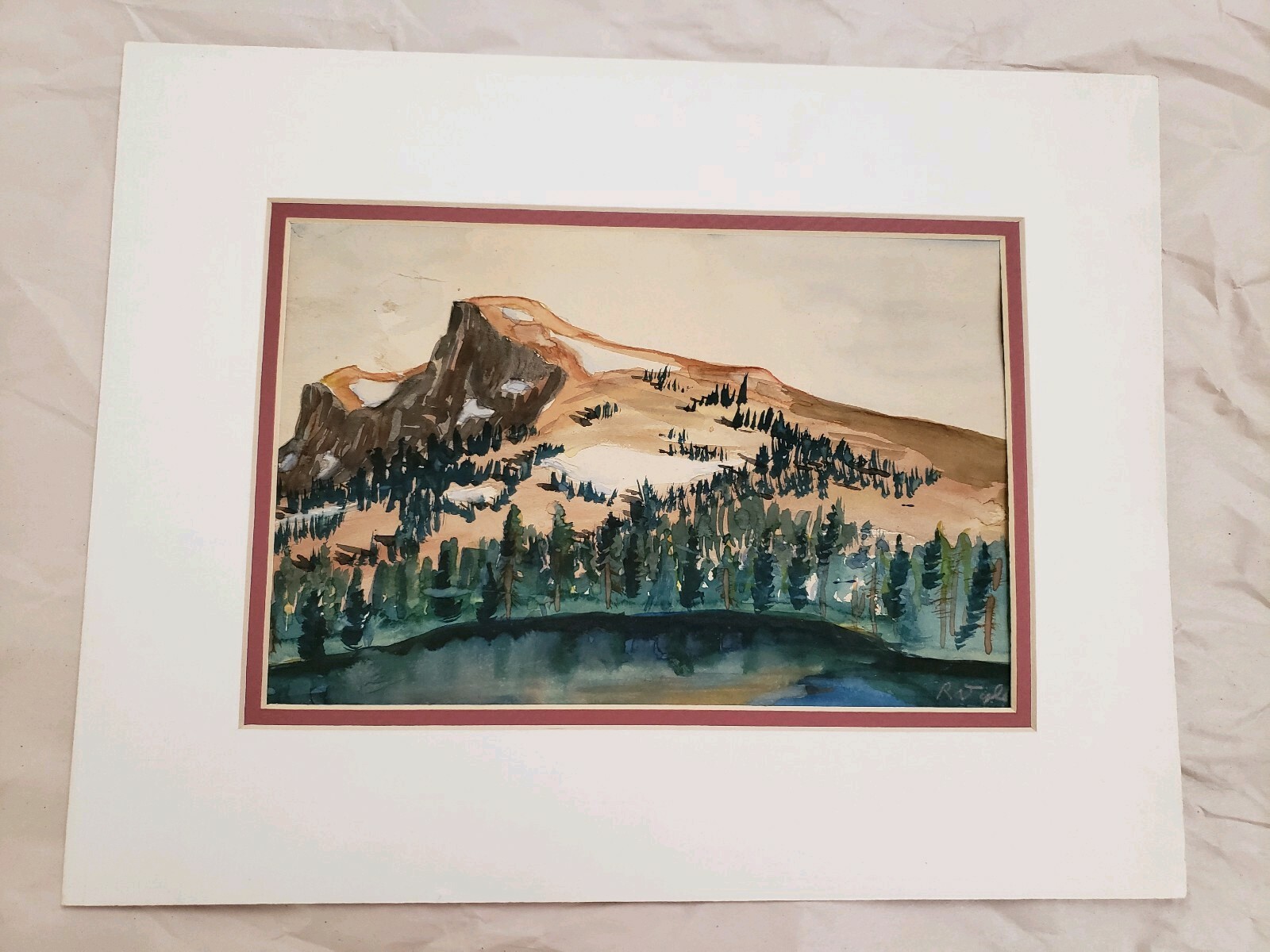 Picture 1 of 12