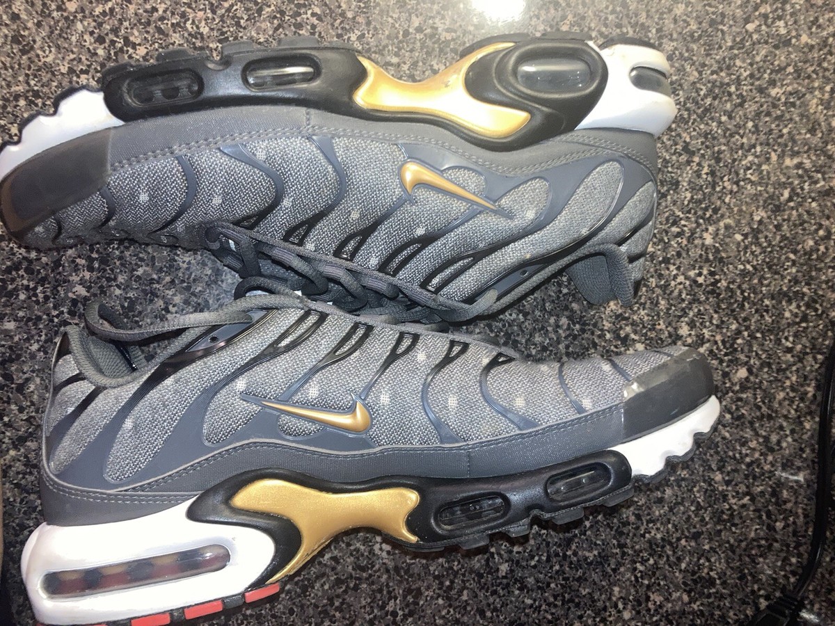 Nike air TN plus iron gray metallic gold and white mens 8 style DM7570-002 Nike Air Max Plus SE  main image 2