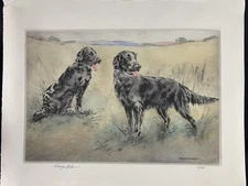 Henry Wilkinson Dry Point Etching Flat Coated Retriever Two Dogs In A Field