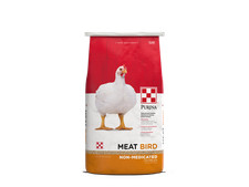 Purina Meat Bird Crumbles Feed, 40 Pound Bag