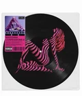 MADONNA Confessions 2 Picture Disc Vinyl GRINDR EXCLUSIVE PRE-ORDER (July 2026)