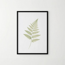 A4 Borderless Fern Print Botanical Green Leaf Nature Wall Art Minimal Home Decor
