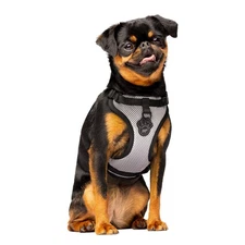 Everything No Pull Dog Harness - Easy Walk Harness for Dogs with Breathable M...