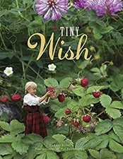The Tiny Wish Library Binding Lori Evert