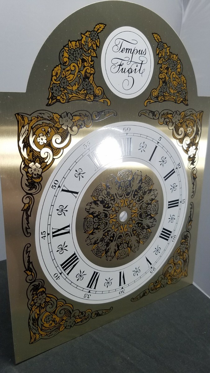 NOS Vintage TEMPUS FUGIT Grandfather Clock 10