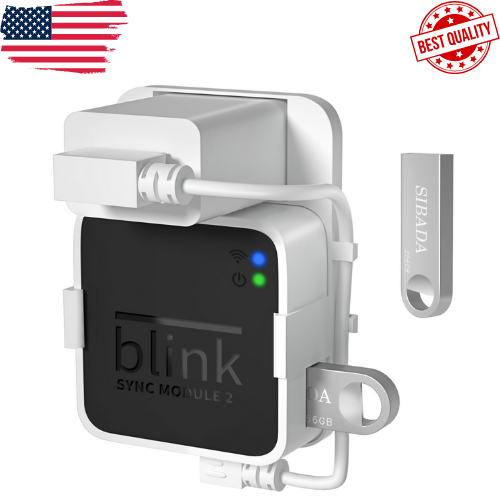 256GB Blink USB Flash Drive for Local Video Storage with the Blink Sync Module 2-image