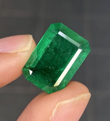 15.59Carat AAA+ Minor Oil Rich Green Natural Loose Zambia Emerald-Emerald Cut