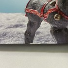 Picture 8 of 9