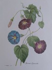 Bild 2 von 2