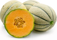 "BEST ON EBAY" 50 ORGANIC TUSCAN CANTALOUPE SEEDS FRESH HARVEST IN 2020, BIG