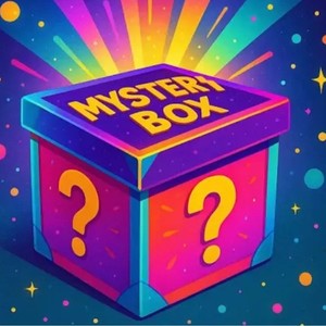 Mystery Box Womens XL 5 Piece Mixed Lot