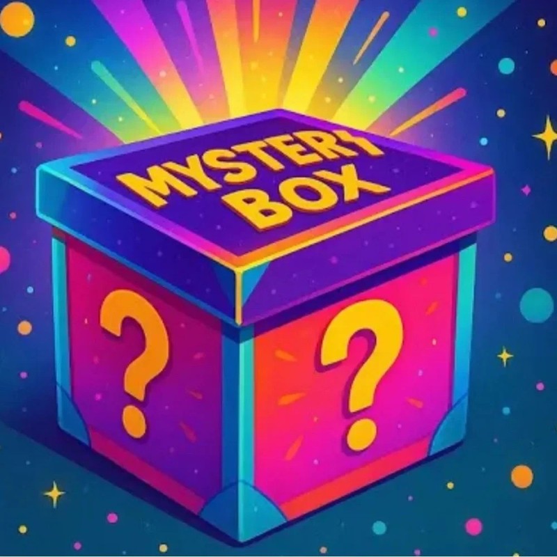Mystery Box Womens XL 5 Piece Mixed Lot