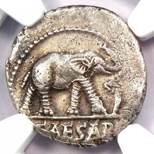 Julius Caesar AR Denarius Silver Elephant Roman Coin 49 BC - NGC Choice XF (EF) - Picture 5 of 5